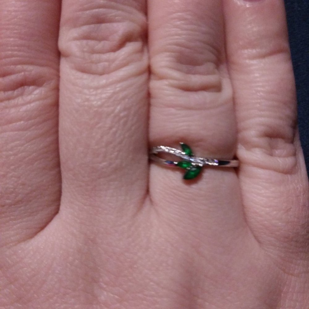 FJ Beauty and the Beast Ring